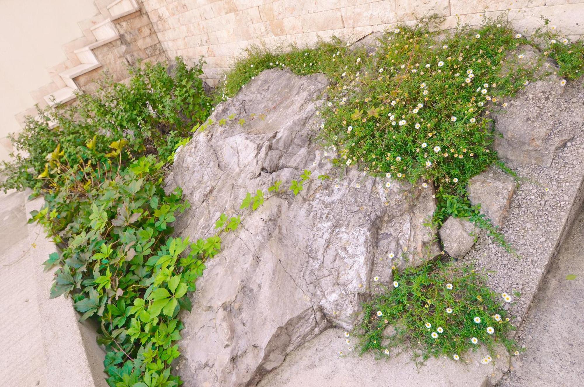 טיווט Dubravcevic Residence מראה חיצוני תמונה
